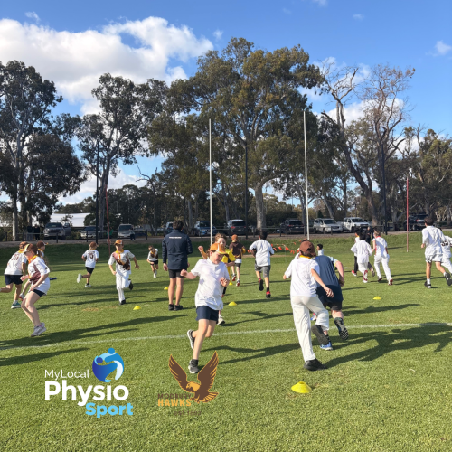My Local Physio Sport Modbury Hawks Cricket club