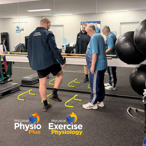 NDIS Exercise Physiology and physiotherapy seb hahesy